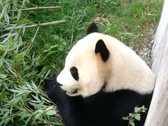 -昆明动物园