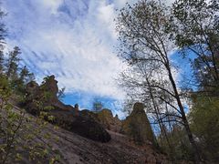 -峡谷浮石林景区