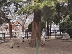 -保定市动物园