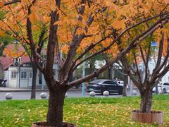 -瑭所popup(三里屯店)