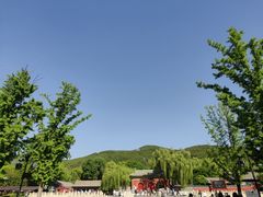 -晋祠公园