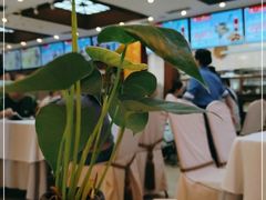 大堂-眉州东坡(亚运村店)