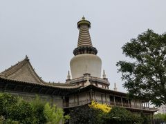 -张掖大佛寺景区