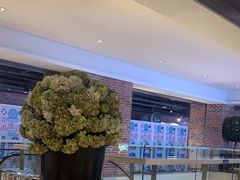 -云海肴·汽锅鸡·云南代表菜(天山百盛优客店)