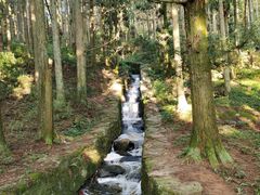 -庐山风景区花径公园