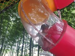 -苏州太湖西山岛开心农场