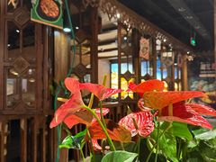 -云海肴云南菜·蒸汽石锅鱼(新奥店)