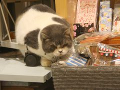 -解忧集市(北京路天河城店)