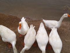 -水洞沟旅游区
