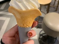 原味冰淇淋-肯德基(桂林阳朔店)