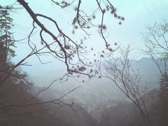-塔云山
