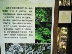 -杭州植物园
