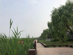 -卢沟桥文化旅游区