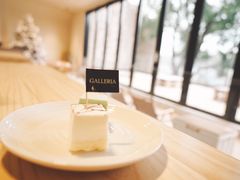 -J Create城市露营咖啡·简餐·宠物(上海动物园店)