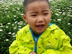 -松山湖梦幻百花洲