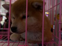 -鹏欣水游城