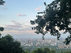 -大蜀山国家森林公园