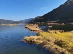 -腾冲北海湿地
