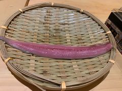 -荣一代目OMAKASE板前料理