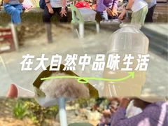 -南丫岛