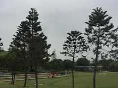 -海珠儿童公园