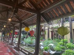 -河内西湖莲花自助餐厅
