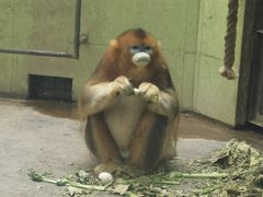 -石家庄市动物园