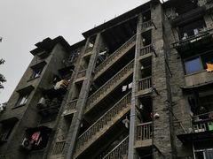 -铁山坪森林公园