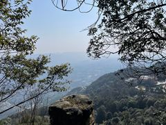 -缙云山景区