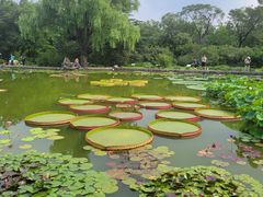 -国家植物园南园