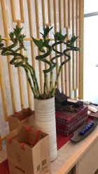 -肥三针腧穴瘦身馆