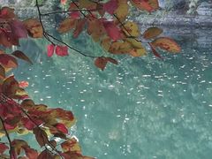 -北京动物园-畅观楼