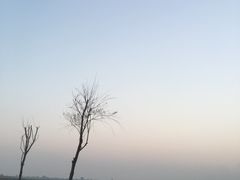 -瑶湖郊野森林公园