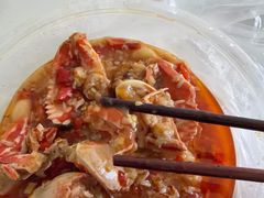 -羊子两室一厅