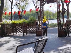 -昆山城市生态森林公园