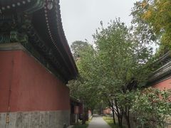 -国家植物园南园