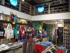 -猫咪博物馆(顶澳仔猫街店)