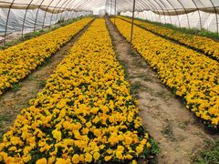 -汉长安城未央宫国家考古遗址公园