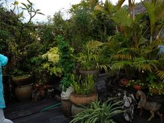 -自然餐厅(Phuket)