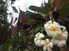 -柬埔寨国家博物馆