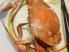 -开海·红岛海鲜虾水饺(石老人店)