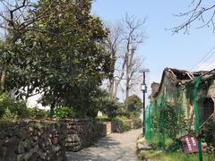 -巢湖姥山岛