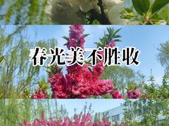 -元大都城垣遗址公园