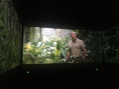 -CGV星星影城(颐堤港ScreenX店)