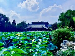 -莲池书院博物馆