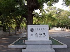 -北陵公园