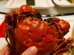 -外高桥喜来登酒店采悦轩