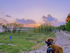 -上海长兴岛郊野公园