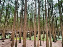 -南昌青山湖风景区