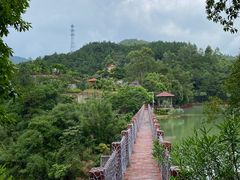 -广州白江湖森林公园